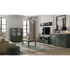 Buffet 3 portes 1 tiroir, couleur vert et chêne, Gamme Evovert