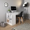 Bureau 1 tiroir et niches rangement , Gamme office