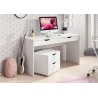 Bureau 2 tiroirs avec un conteneur , Gamme office