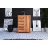Commode en hêtre, 6 tiroirs, 1 porte, Gamme carouge