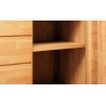 Dressing en bois , 2 portes avec penderie, Gamme carouge