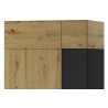Armoire dressing, 2 portes,  2 niches et 1 penderie, couleur chêne artisanal avec éléments noirs mat