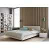 Lit double adulte design finition blanc 160 x 200 cm, Gamme float