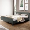 Lit design 160 x 200, couleur bois et vert, Gamme EvoVert