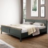 Lit design 180 x 200, couleur bois et vert, Gamme EvoVert