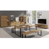 Meuble TV 2 portes abattantes et 2 niches, couleur Chêne, Gamme Alls