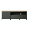 Meuble TV 1 porte 1 tiroir et 1 niche, couleur vert et chêne, Gamme Evovert