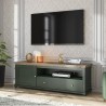 Meuble TV 1 porte 1 tiroir et 1 niche, couleur vert et chêne, Gamme Evovert