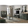 Meuble TV 1 porte 1 tiroir et 1 niche, couleur vert et chêne, Gamme Evovert