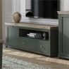 Meuble TV 1 porte 1 tiroir et 1 niche, couleur vert et chêne, Gamme Evovert