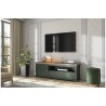 Meuble TV 1 porte 1 tiroir et 1 niche, couleur vert et chêne, Gamme Evovert