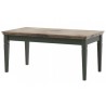Table basse 110 cm de longueur,  couleur vert et chêne, Gamme Evovert