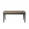 Table basse 110 cm de longueur,  couleur vert et chêne, Gamme Evovert