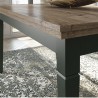 Table basse 110 cm de longueur,  couleur vert et chêne, Gamme Evovert