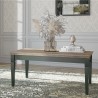 Table basse 110 cm de longueur,  couleur vert et chêne, Gamme Evovert