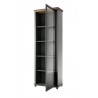 Vaisselier et vitrine haut, 1 porte 4 niches, couleur vert et chêne, Gamme Evovert