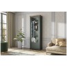 Vaisselier et vitrine haut, 1 porte 4 niches, couleur vert et chêne, Gamme Evovert