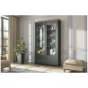 Vaisselier et vitrine haut, 2 portes 8 niches, couleur vert et chêne, Gamme Evovert