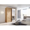 Armoire dressing  2 portes coulissantes , Gamme concept