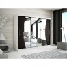 Armoire dressing,  longeur 250 cm, 3 portes , 2 pendries et 10 niches, couleur blanc,  Gamme WAVE