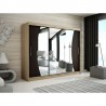 Armoire dressing,  longeur 250 cm, 3 portes , 2 pendries et 10 niches, couleur somona,  Gamme WAVE