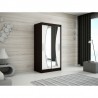 Armoire dressing,  longeur 100 cm, 2 portes , 2 pendries et 5 niches, couleur wenge,  Gamme WAVE